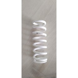 ΕΛΑΤΗΡΙΟ ΠΙΣΩ ΑΝΑΡΤΗΣΗΣ WP 6.6