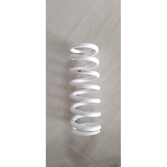 ΕΛΑΤΗΡΙΟ ΠΙΣΩ ΑΝΑΡΤΗΣΗΣ WP 6.6