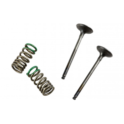 ΚΙΤ ΒΑΛΒΙΔΕΣ ΕΞΑΓΩΓΗΣ PROX GAS GAS ECF 250 2010 - 2015