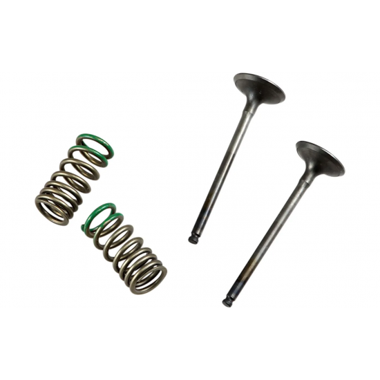 ΚΙΤ ΒΑΛΒΙΔΕΣ ΕΞΑΓΩΓΗΣ PROX GAS GAS ECF 250 2010 - 2015