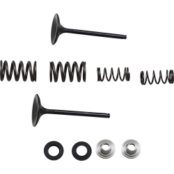 ΣΕΤ ΒΑΛΒΙΔΕΣ ΕΙΣΑΓΩΓΗΣ ΕΛΑΤΗΡΙΑ KAWASAKI KXF 450 2009 - 2016