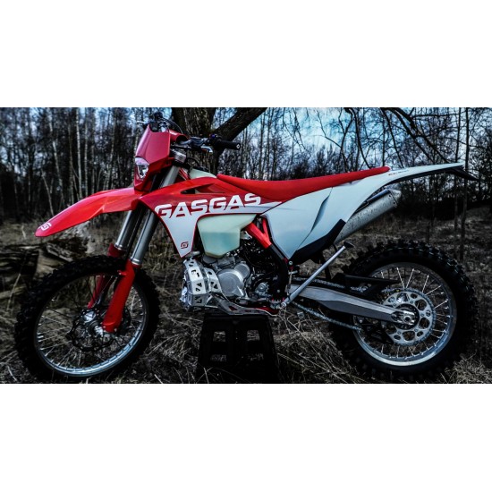 ΠΡΟΣΤΑΤΕΥΤΙΚΟ ΚΙΝΗΤΗΡΑ GAS GAS EX / EC 250 - 300 2020 - 2023